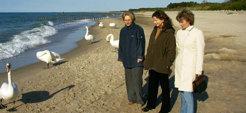 2003 002