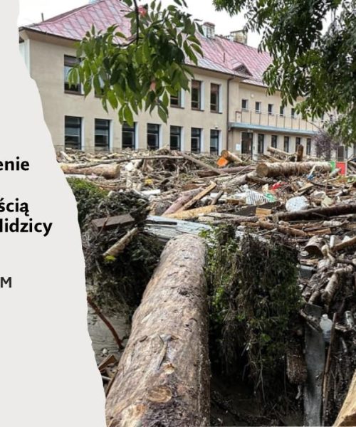 Polskie Stowarzyszenie na rzecz Osób z Niepełnosprawnością Intelektualną2